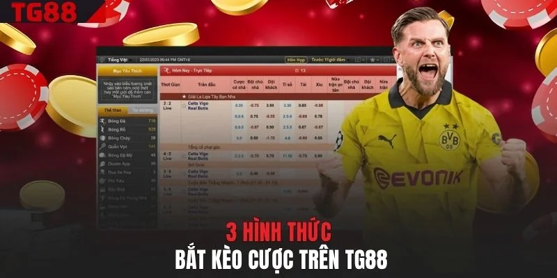 3 hình thức bắt kèo cược trên TG88
