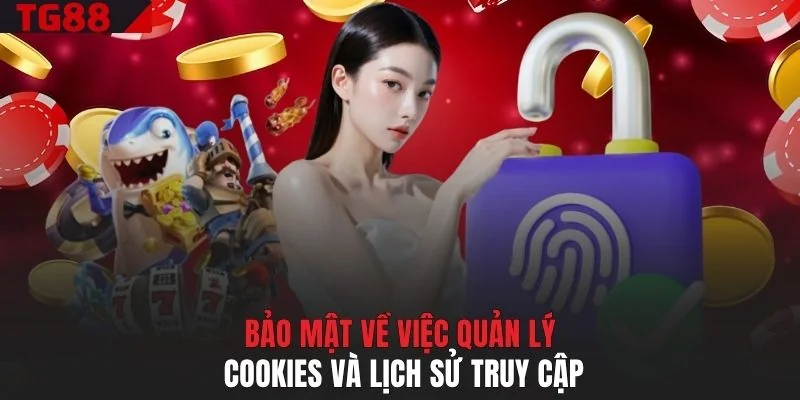 Bảo mật về việc quản lý cookies và lịch sử truy cập