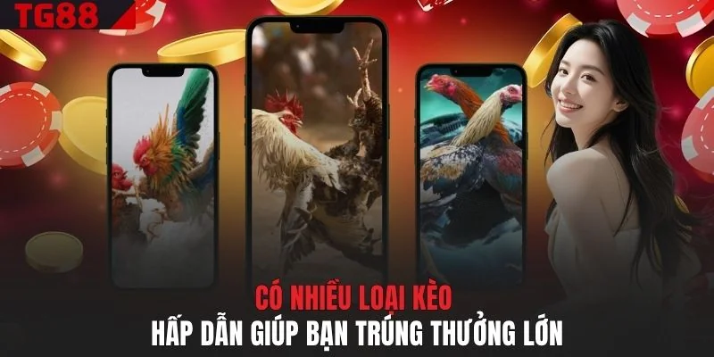 Có nhiều loại kèo hấp dẫn giúp bạn trúng thưởng lớn