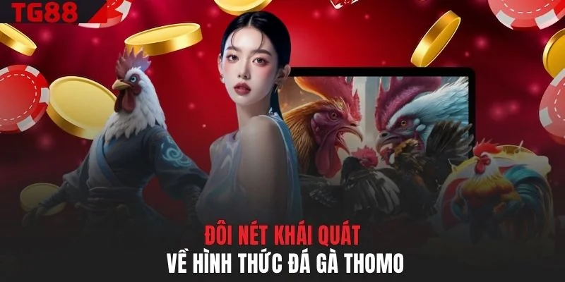 Đôi nét khái quát về hình thức đá gà thomo