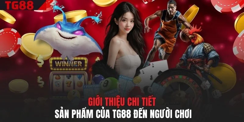 Giới thiệu chi tiết sản phẩm của TG88 đến người chơi