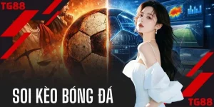 Soi Kèo Bóng Đá | Phân Tích 50+ Trận Cầu Đỉnh Cao 24h