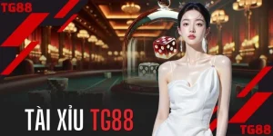 Tài Xỉu TG88 - Toàn Tập Kiến Thức Và Cách Đặt Cược Hiệu Quả