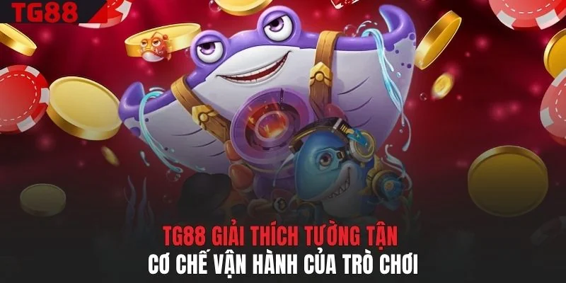 TG88 giải thích tường tận cơ chế vận hành của trò chơi