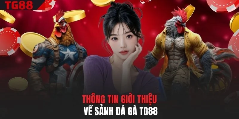 Thông tin giới thiệu về sảnh đá gà TG88